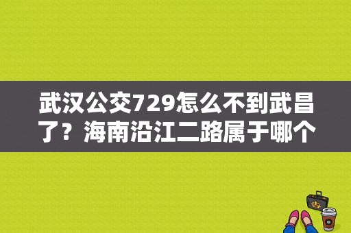 武汉公交729怎么不到武昌了？海南沿江二路属于哪个镇