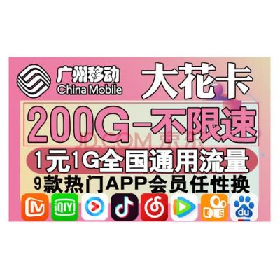 小米移动一元任性用什么意思？任性花哪个公司的