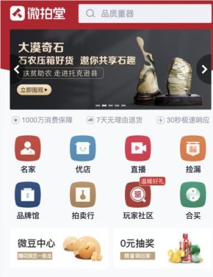 微拍堂怎么赚钱？2015年过卖哪个致富