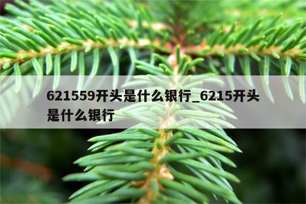 621559开头是什么支行？621559是哪个银行
