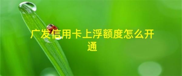 上浮额度服务是什么意思？哪个信用卡有上浮额度