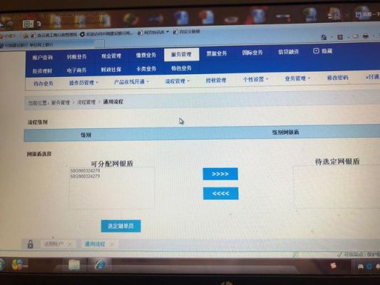 网银盾密码是几位数？网银授权密码是哪个好