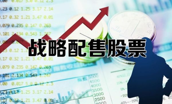 拟配股是什么意思？哪个上市公司配股