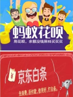 蚂蚁借呗和京东白条哪个好？花呗跟白条哪个好