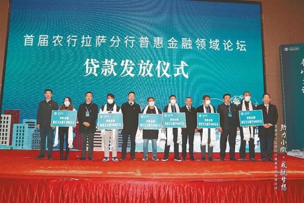 达安有几家分公司？拉萨贷款公司哪个好