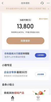 京东金融18岁有多少额度？18岁在哪个平台贷小额