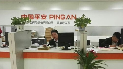 平安保险公司在重庆南坪哪里？重庆平安属于哪个区