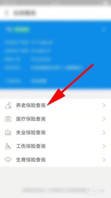 怎么查询自己买的保险？哪个平台能查到自己交的保险