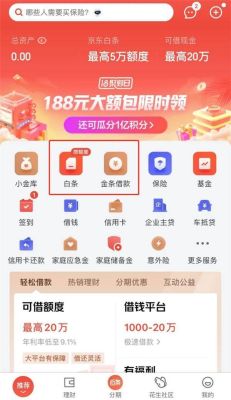 京东金条六十岁可以借到款吗？18岁贷款平台哪个容易借