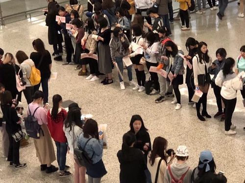 上海追星女孩圣地？12月10哪个明星在虹桥机场