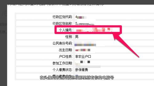 社保电脑号是哪一个？个人社保电脑号是哪个