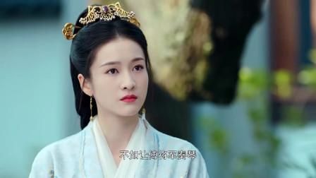 白发王妃剧情介绍？掌柜无忧是哪个公司的