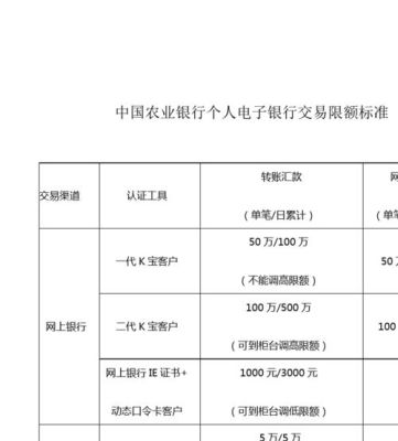电子银行账户的钱可以用于哪些消费？具体怎么消费？哪个银行电子银行最好用