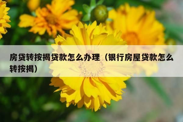转按揭房贷是什么意思？哪个银行可以转按揭