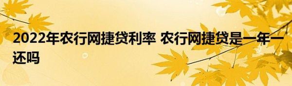 农业银行贷款和信用卡哪个利息高？网贷和信用卡分期哪个利息低