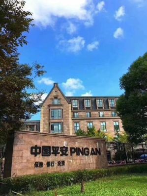 中国太平保险和平安保险哪个好？太平平安哪个保险公司好