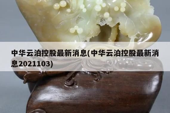 中华云泊控股有限公司靠谱吗？2020年中国哪个主平台最靠谱