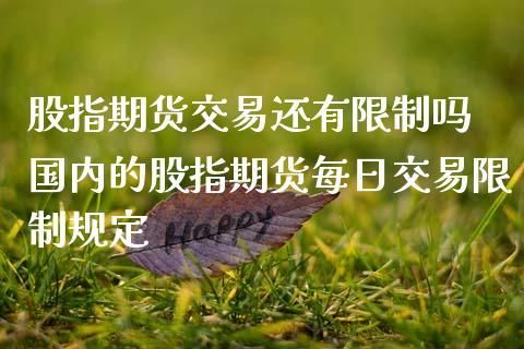 股指期货和期权哪个难度大？国内哪个股指波动大