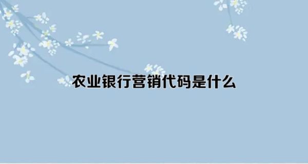 怎么查看农行营销代码？南宁农行哪个行好