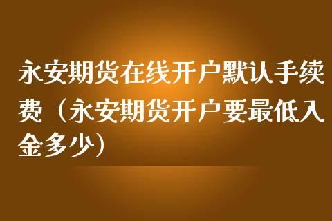 永安期货开户视频认证却看不见对方，只看到自己，也没声音怎么办？哪个期货开户不用视频认证