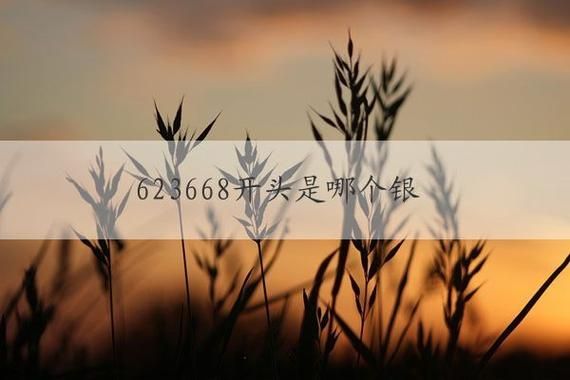 623668是哪家银行的卡号？623668开头的银行卡号是哪个银行的