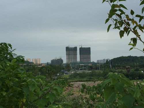 乐至县2022经济总量是多少？乐至县招商银行在哪个地方