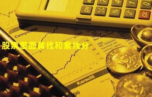 基金中黄线和绿线代表什么？基金看哪个线