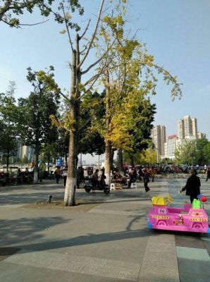 四川什么地方是最繁华的？资阳市和平路属于哪个社区