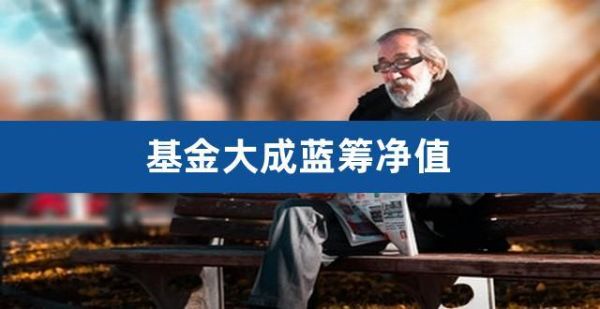 什么叫蓝筹基金？大成蓝筹基金哪个行发行的