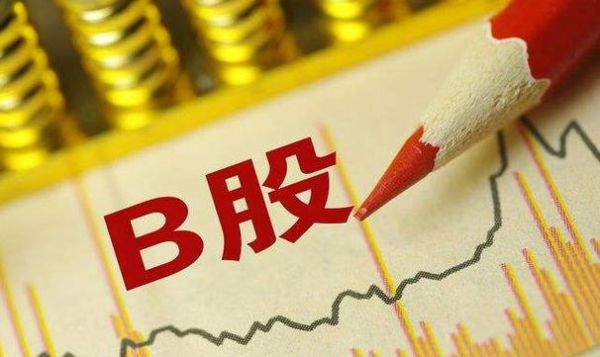 B股是什么意思？（b股选哪个）