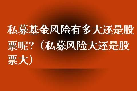 买股票型基金和直接自己买股票哪个风险高？为什么？（基金和股票哪个风险大）