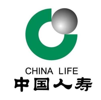 中国人寿官方域名是什么？（life域名是哪个国家的）