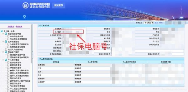支付宝上怎么查询湖北省直社保？（湖北社保电脑号是哪个）
