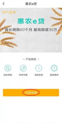 农行e贷app是真的吗？（贷款哪个软件安全可靠）