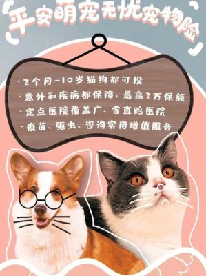 宠物保险买哪个比较好？（平安和安信哪个好）