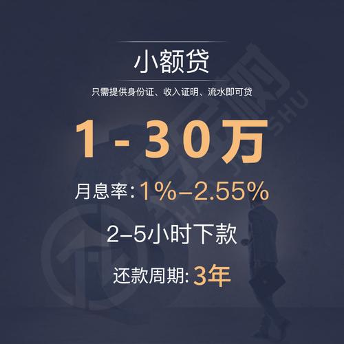 一千元的小额贷款能借吗？（一千元小额贷款哪个快）