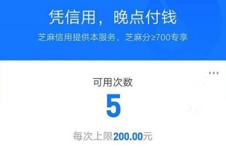 晚点付为什么只能用一次？（哪个口子认为以后批量提交的）