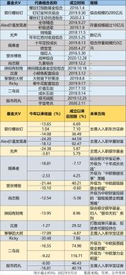 基金大v谁厉害？（基金哪个好）