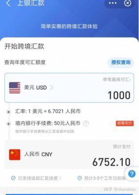 我想到国外网站买东西~~，支付方式有哪些？（在国外刷哪个币种）