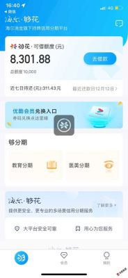 海尔够花和嗨付哪个容易通过？（海尔够花跟嗨付哪个好下款）