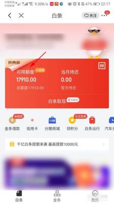 京东钱包额度1000怎么使用？（哪个软件能借1000额度）