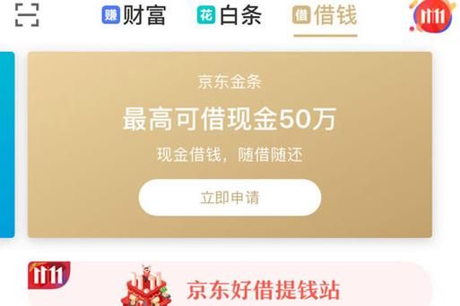 刚成年纯白户能用京东金条吗？（哪个软件借钱不用成年）