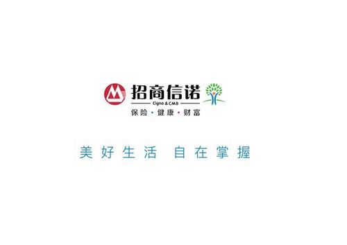 招商诺信是什么公司？（招商信诺保险是哪个公司的）