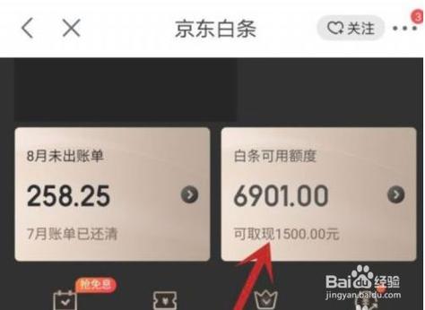 京东白条怎么会有年龄限制？（京东白条激活显示年龄的相机软件哪个好）