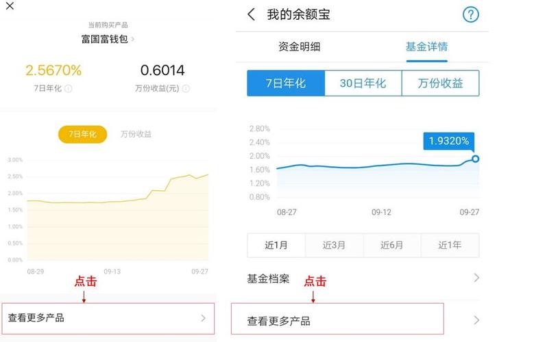 2021零钱通余额宝哪个更安全？（2021年余额宝13个基金哪个好）
