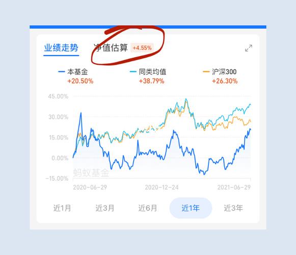 有什么软件可以看基金实时估值？（每天基金估值哪个软件准）