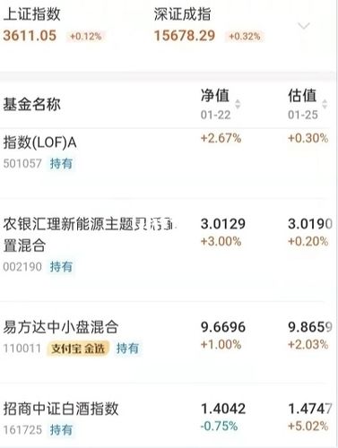 我买了基金,可是不知道怎么查看自己所买的基金市值？（基金公司哪个城市最多）