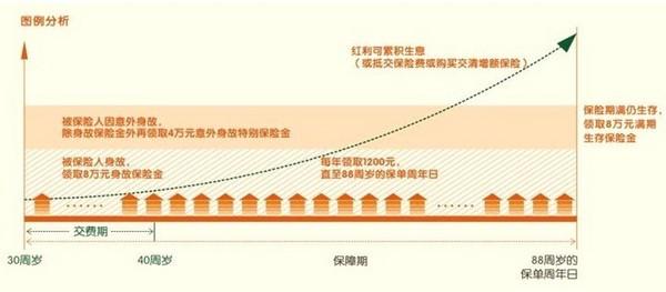 二十万存定期和买保险哪个更划算？（交社保和理财哪个划算）