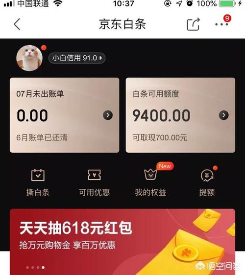 京东极速白条怎么找？（哪个分期网站白条审核简单快速）