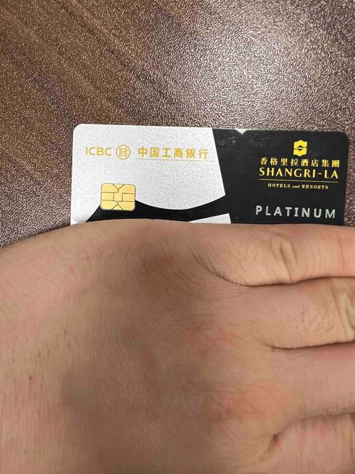 办理工商银行在国内国外都可以用的信用卡办理那种卡好？（哪个银行可以异地办信用卡）